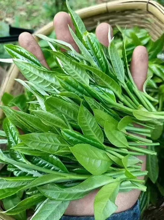 生態(tài)產(chǎn)品